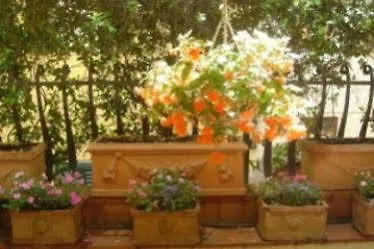 Le Stanze Di Santa Croce Bed & Breakfast Florence